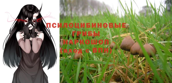 ALPHA PVP Алексин