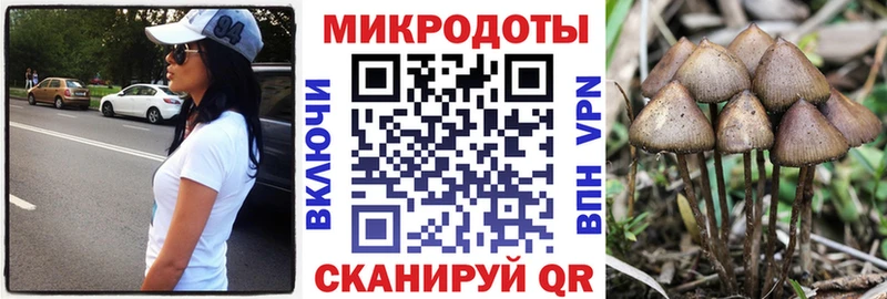 Галлюциногенные грибы Psilocybe OMG tor Новая Ладога